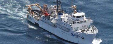 Marine Contractor